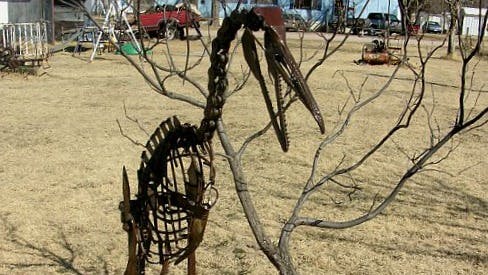 Bob Mix's sculpture of Hesperornis Regalis, a cormorant-like bird of the Late Cretaceous period, residing in his yard in Great Bend, Kansas.